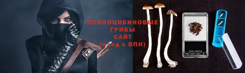 дарнет шоп  Монино  Псилоцибиновые грибы Psilocybe 